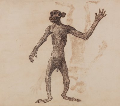A Comparative Anatomical Exposition of the Structure of the Human Body with That of a Tiger and a Cow by George Stubbs